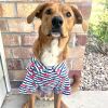 Hawaiian Camp Shirt